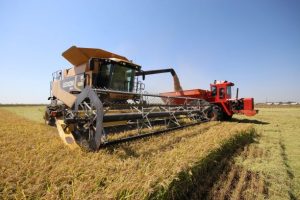 rice harvester