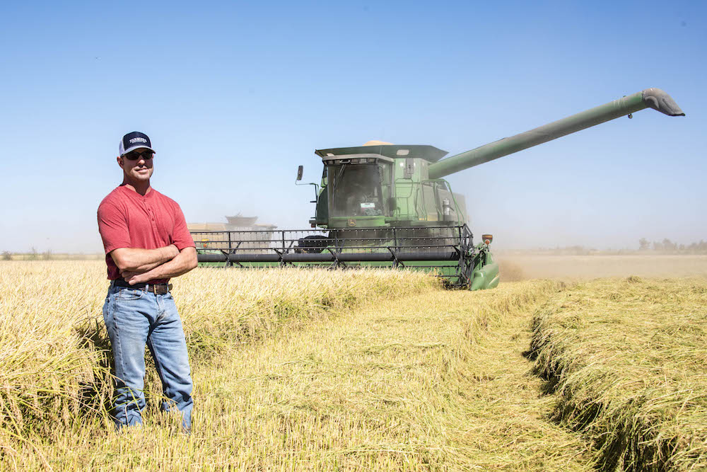 Bill Weller standing in rice field with harvester in background