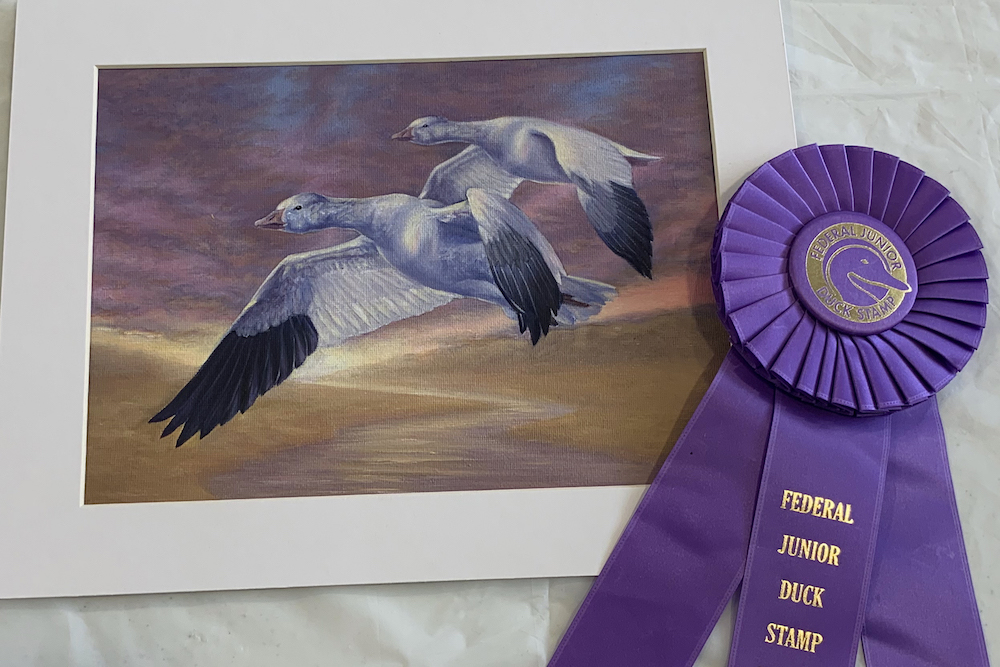 painting of geese flying with award ribbon