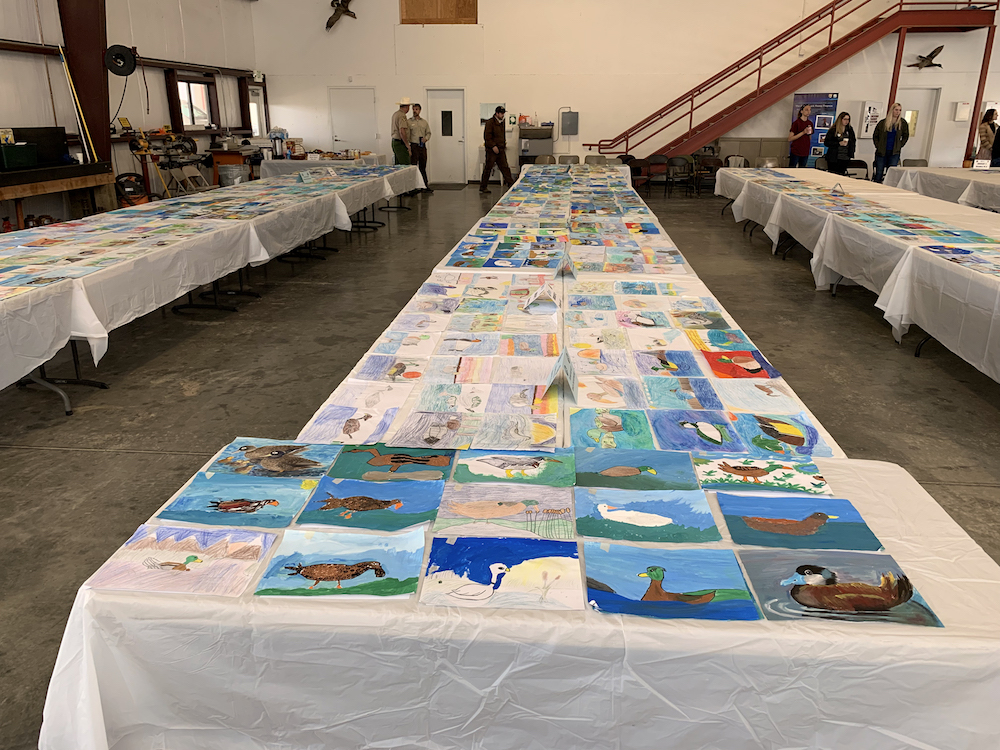 many tables with drawings and paintings of birds for art contest
