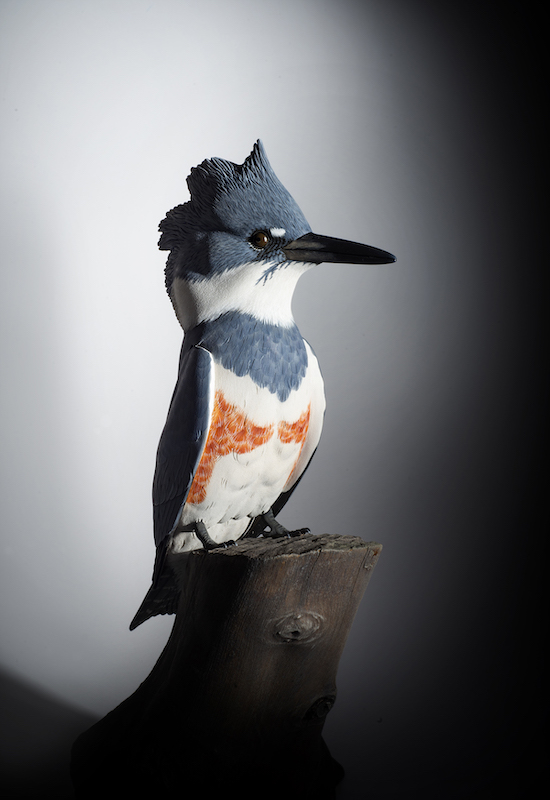 Belted Kingfisher sculpture