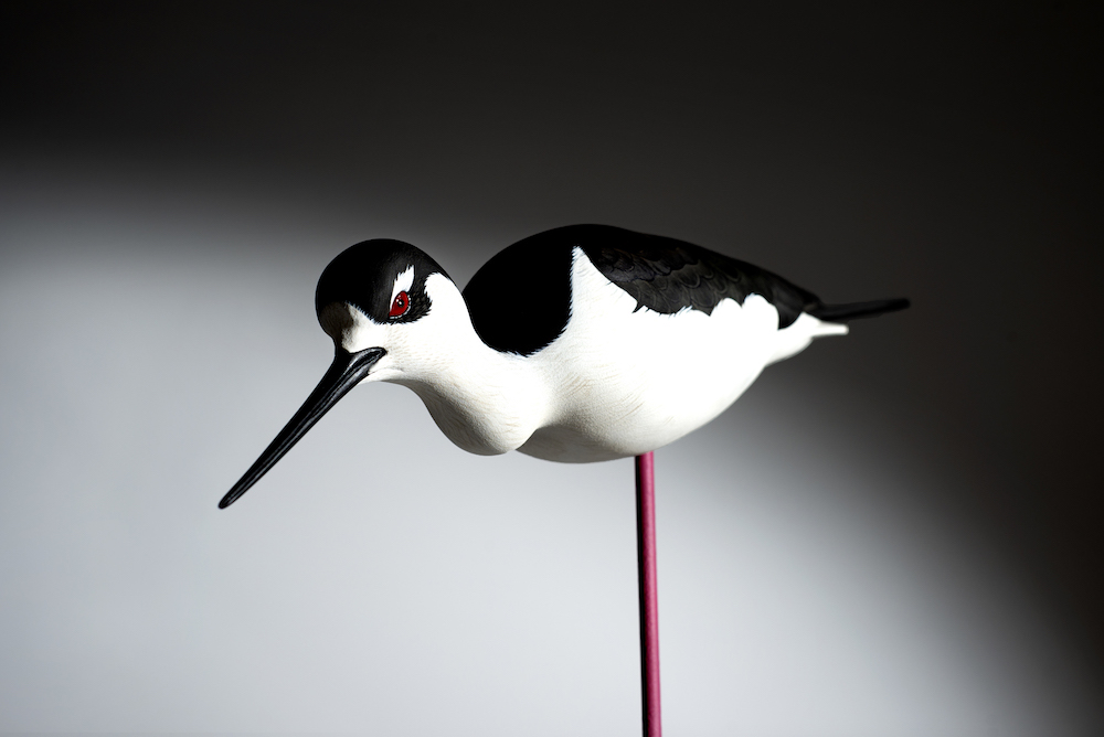 Black-necked Stilt sculpture