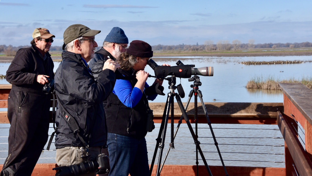 group of photographers shooting in nature