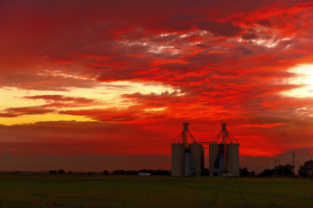 sunset behind rice silos