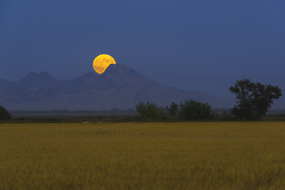 moonrise over sutter buttes