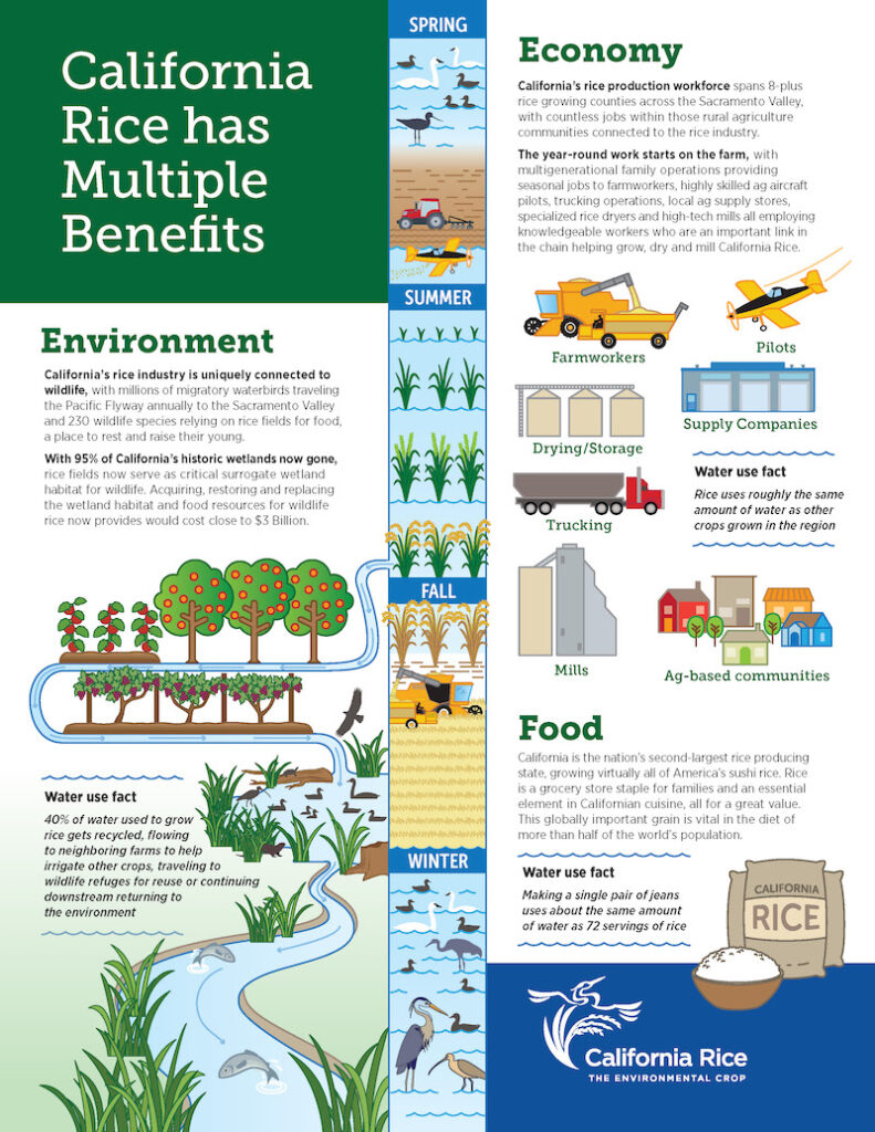 Economic Impact : Calrice