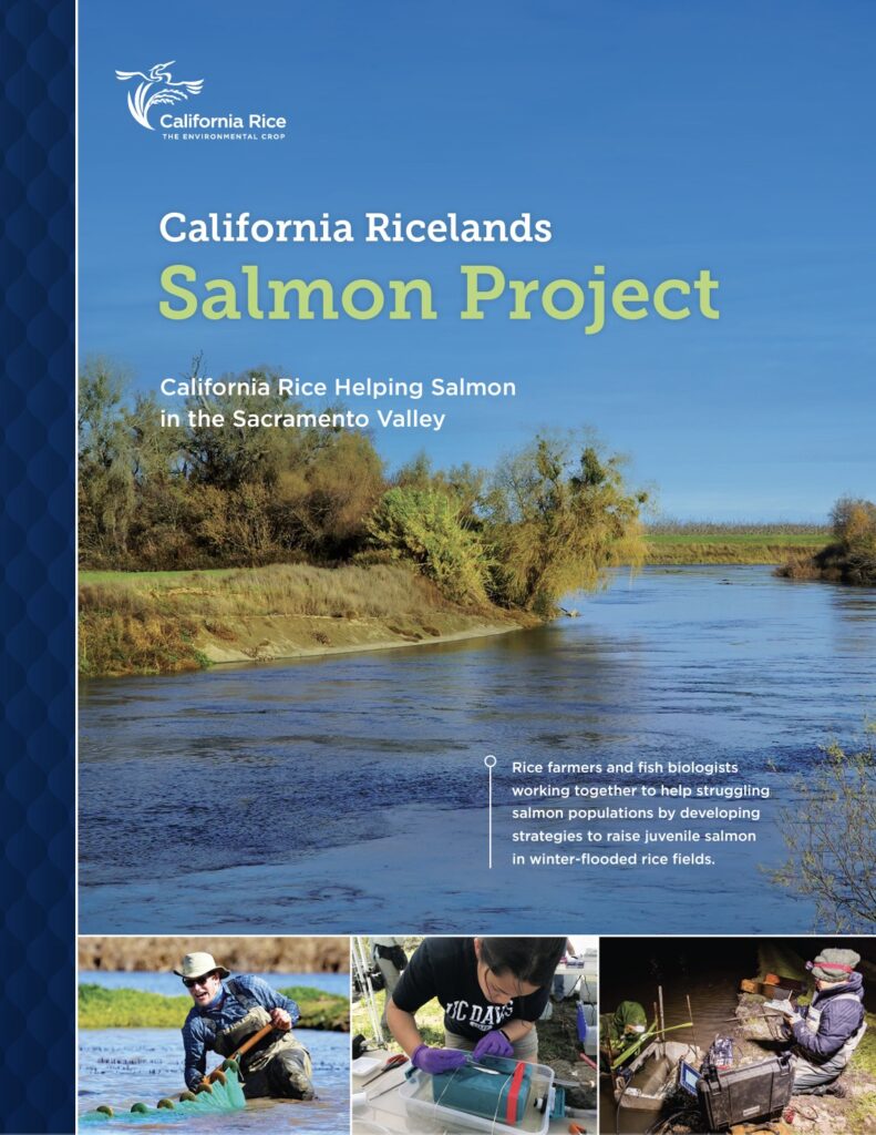 Helping Salmon in the Sacramento Valley 