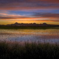 sunset over flooded rice fields