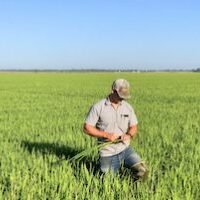 Everett in rice field 7720