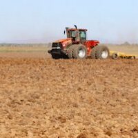 rice harvester in rice field