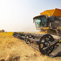 Robbins Harvest 91520-2