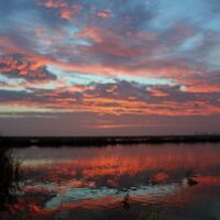 sunrise over rice fields